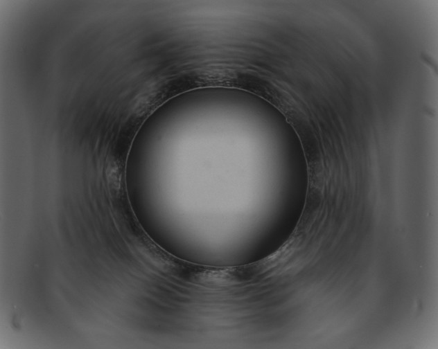 X0000091920086200709191348