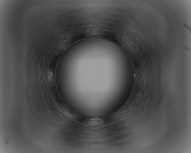 X0000091920087200709191348