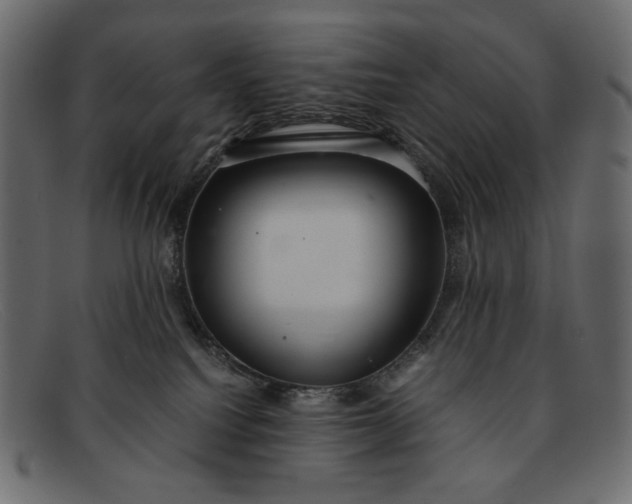 X0000091920088200709191348