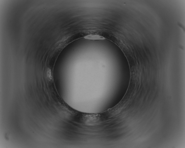 X0000091920089200709191348