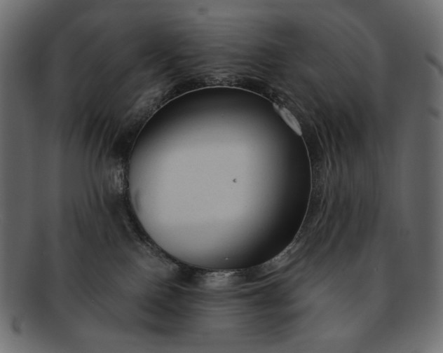 X0000091920090200709191348