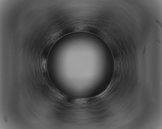 X0000091920094200709191348