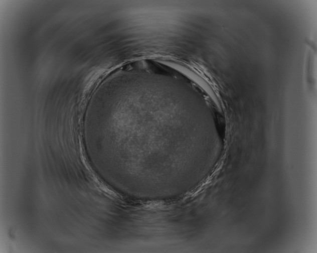 X0000091920097200709191348