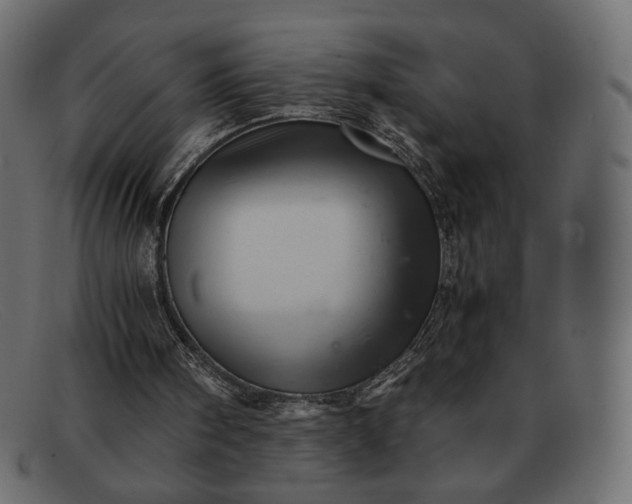 X0000091920098200709191348