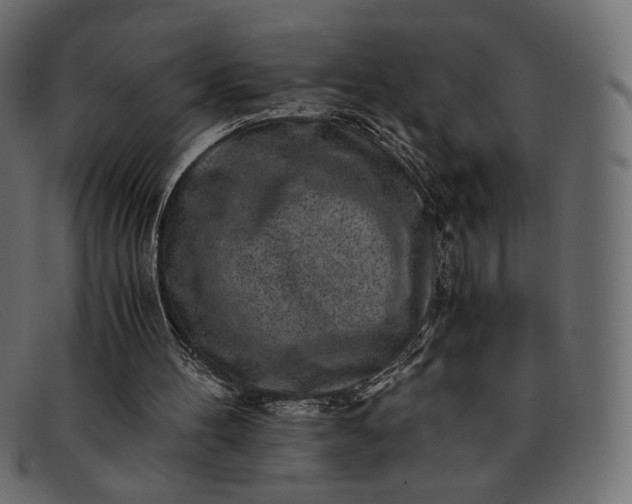 X0000091920100200709191348