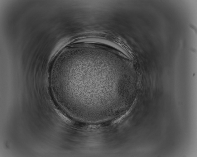 X0000091920101200709191348