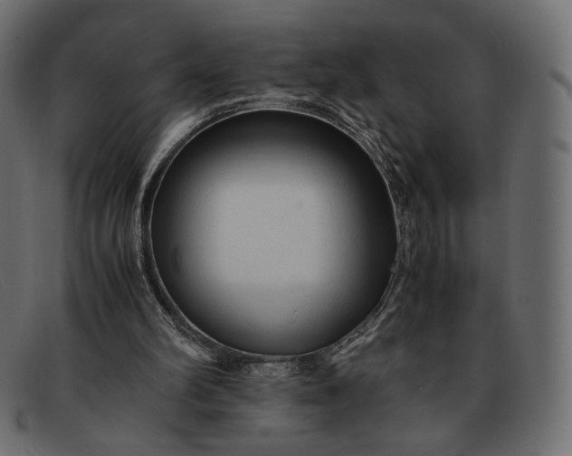 X0000091920102200709191348