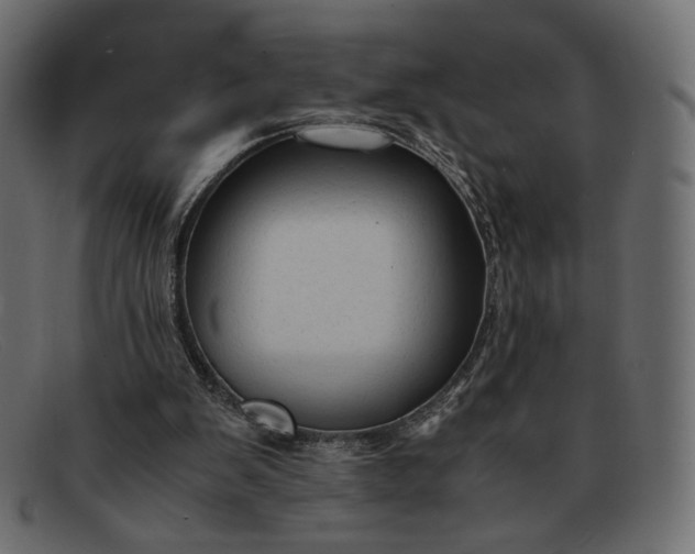 X0000091920103200709191348