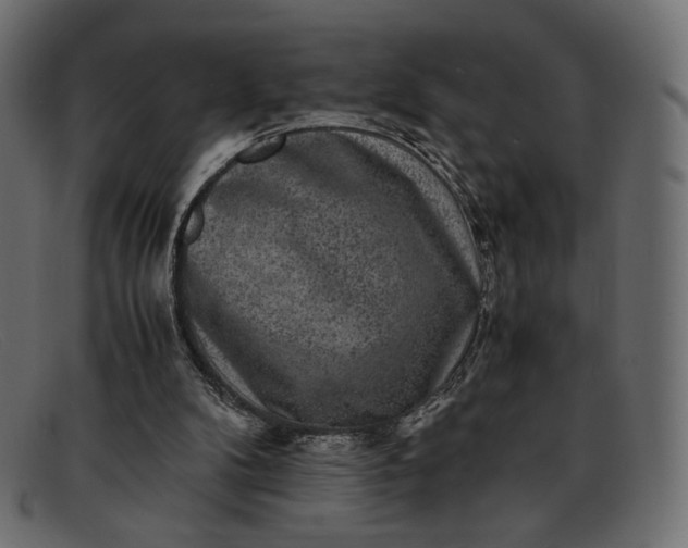 X0000091920104200709191348