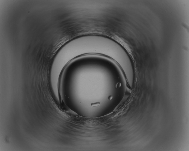 X0000091920105200709191348