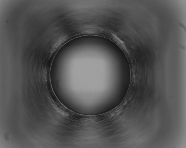 X0000091920106200709191348