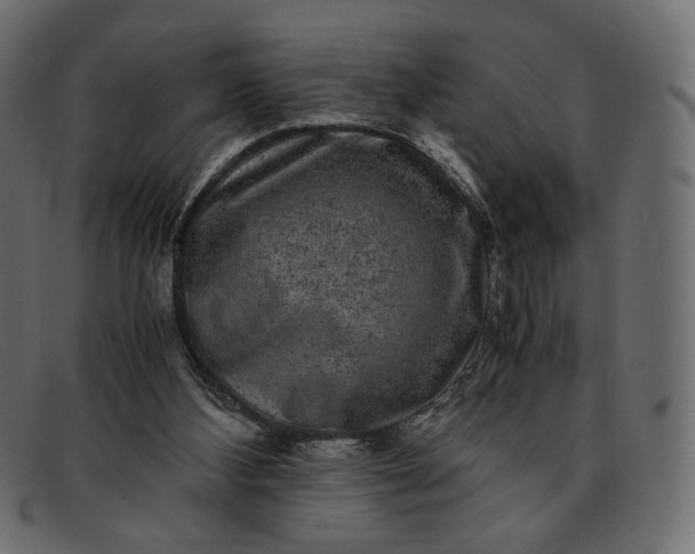 X0000091920108200709191347