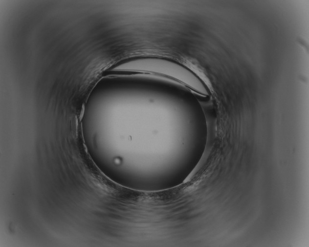 X0000091920109200709191347