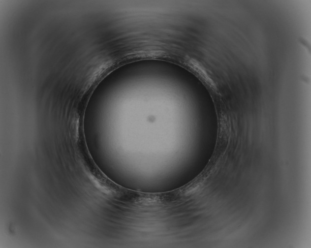 X0000091920110200709191347