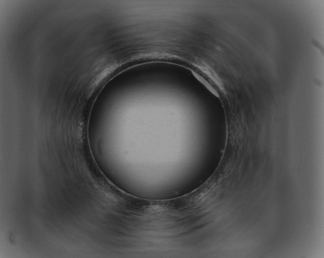 X0000091920111200709191347