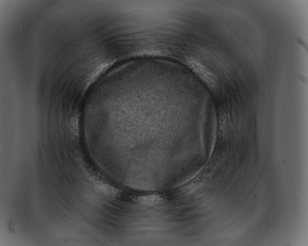 X0000091920112200709191347