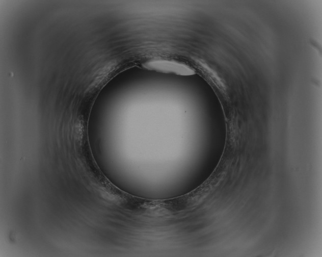 X0000091920113200709191347