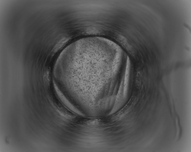 X0000091920116200709191347