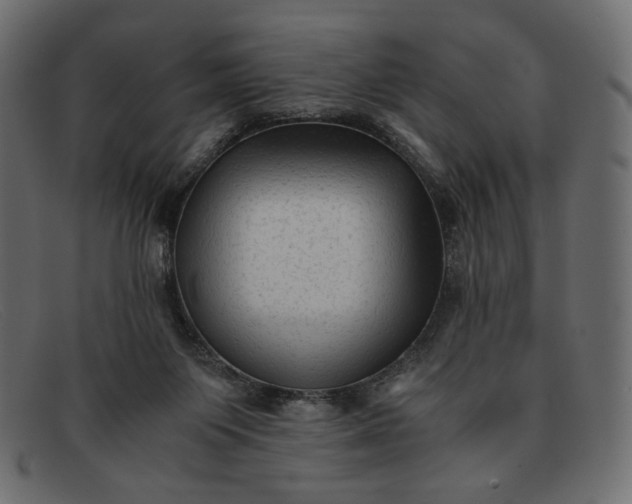 X0000091920119200709191347