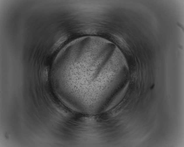 X0000091920120200709191347