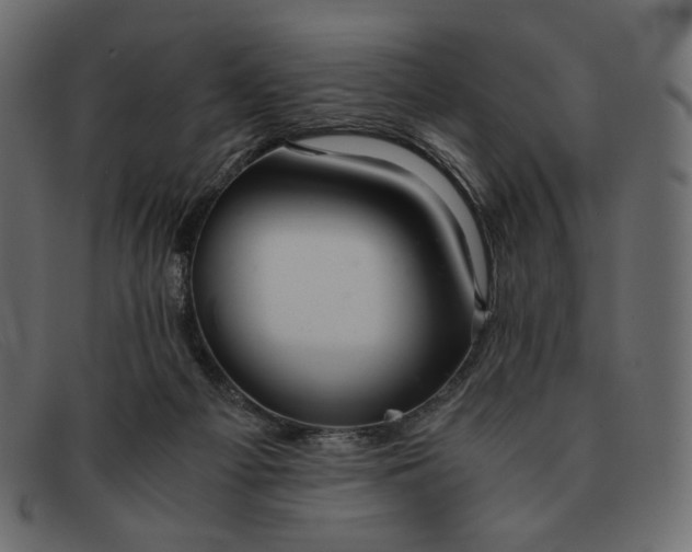 X0000091920121200709191347