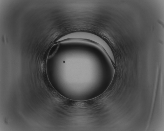 X0000091920123200709191347