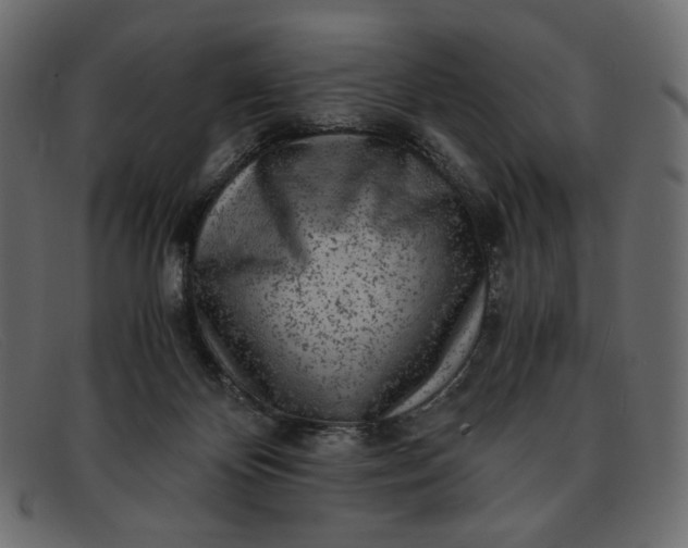 X0000091920124200709191347