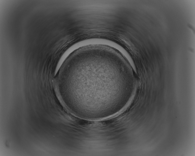 X0000091920125200709191347