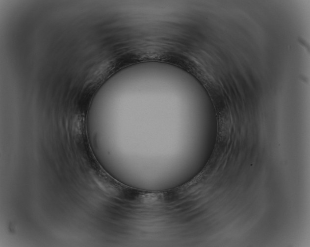 X0000091920126200709191347