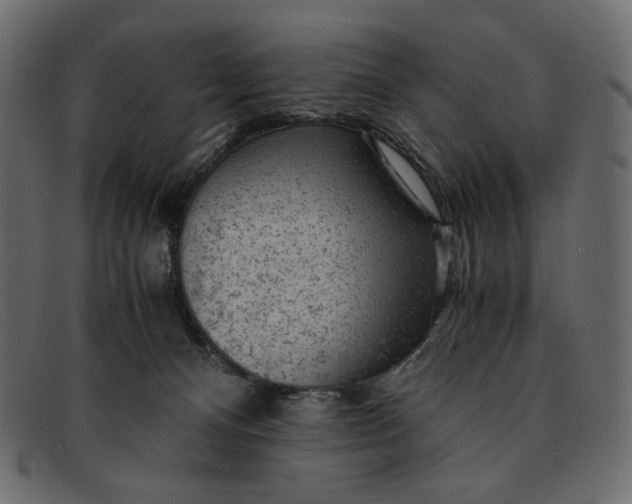 X0000091920128200709191347