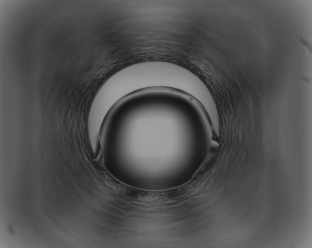 X0000091920129200709191347