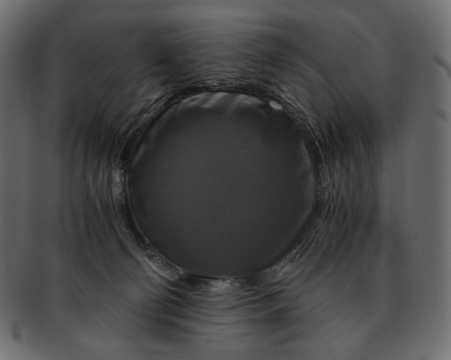 X0000091920130200709191347