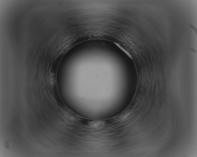 X0000091920135200709191347