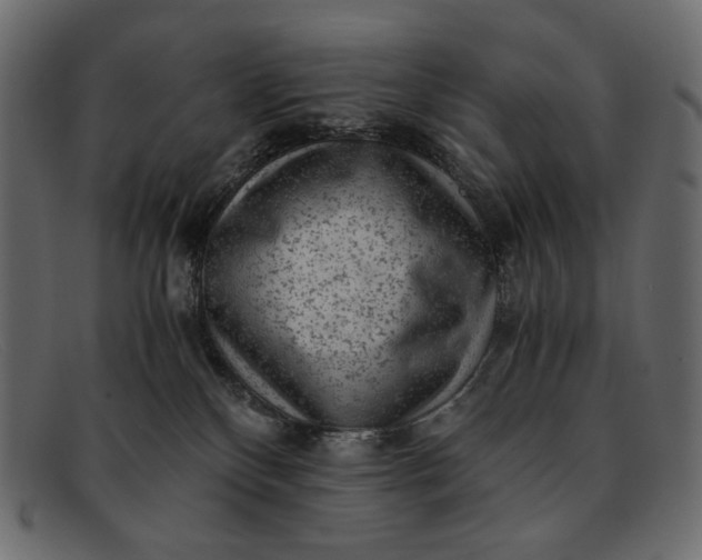 X0000091920136200709191347