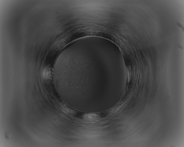 X0000091920137200709191347