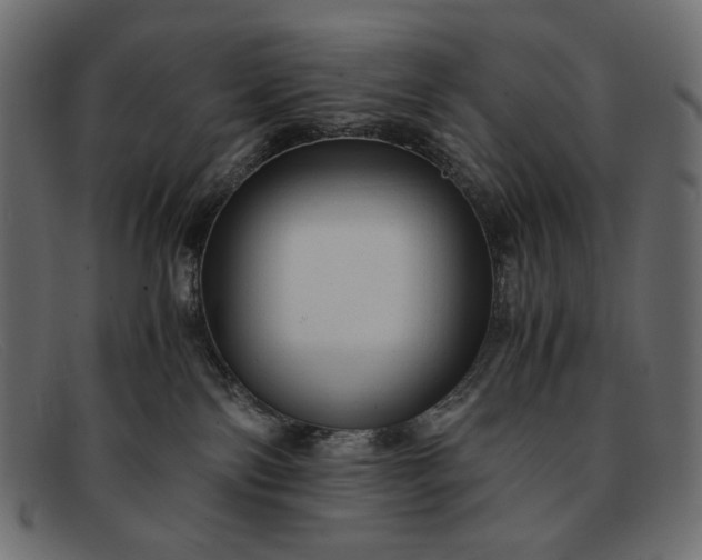 X0000091920138200709191347