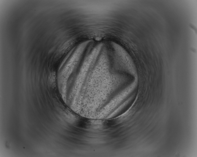 X0000091920144200709191347