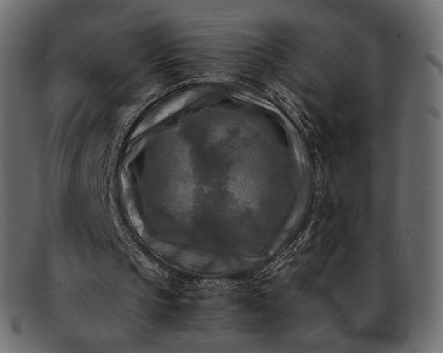 X0000091920145200709191346