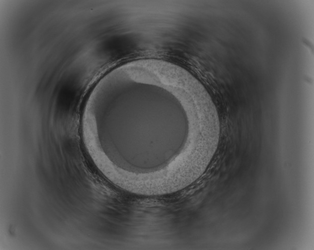 X0000091920146200709191346