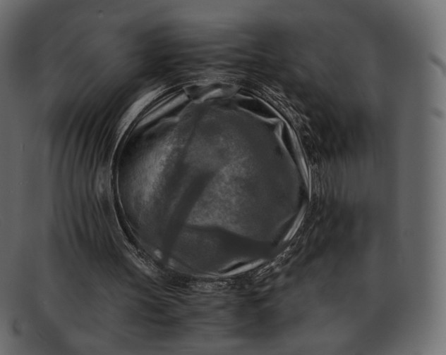 X0000091920147200709191346