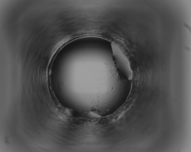 X0000091920148200709191346