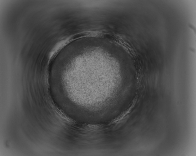 X0000091920149200709191346