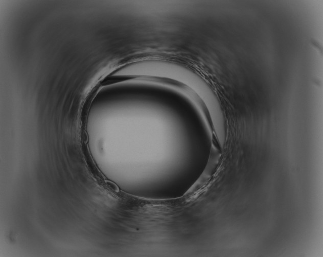 X0000091920150200709191346