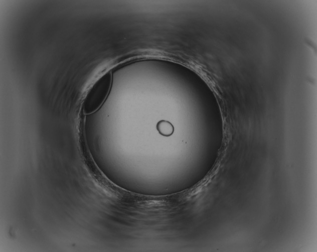 X0000091920151200709191346