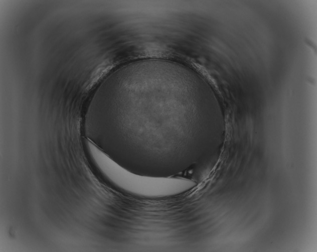 X0000091920154200709191347