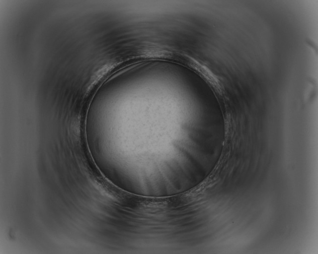 X0000091920155200709191347