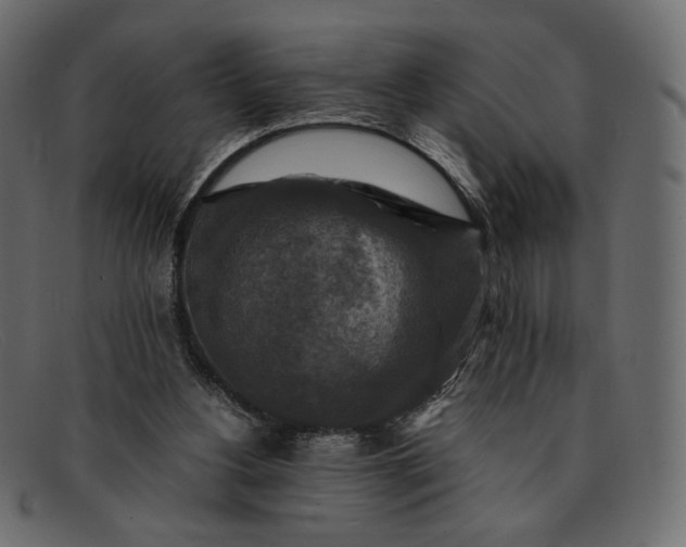 X0000091920156200709191347