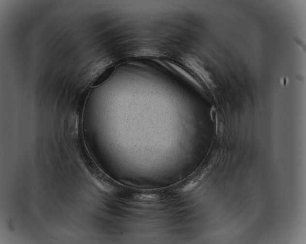 X0000091920157200709191347