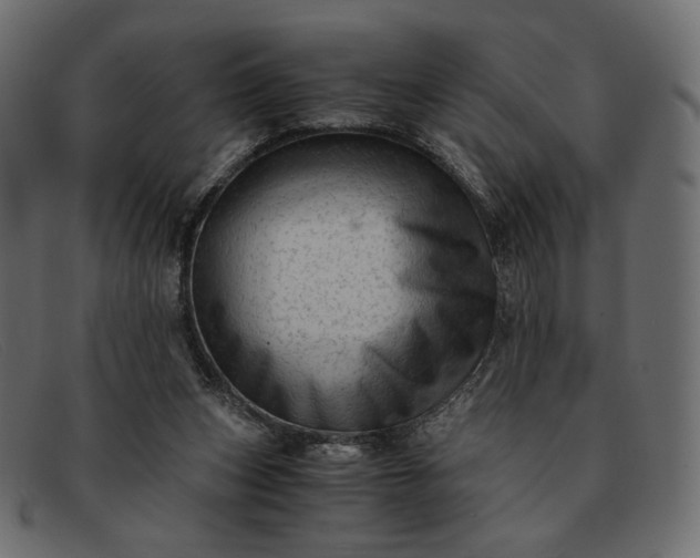 X0000091920159200709191347