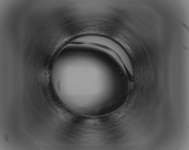 X0000091920160200709191347